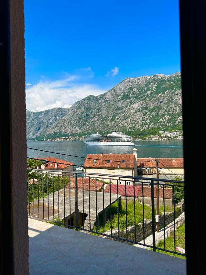 Lobov View Котор